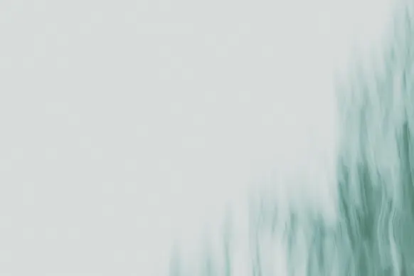 Casino Wild Tornado Assistance